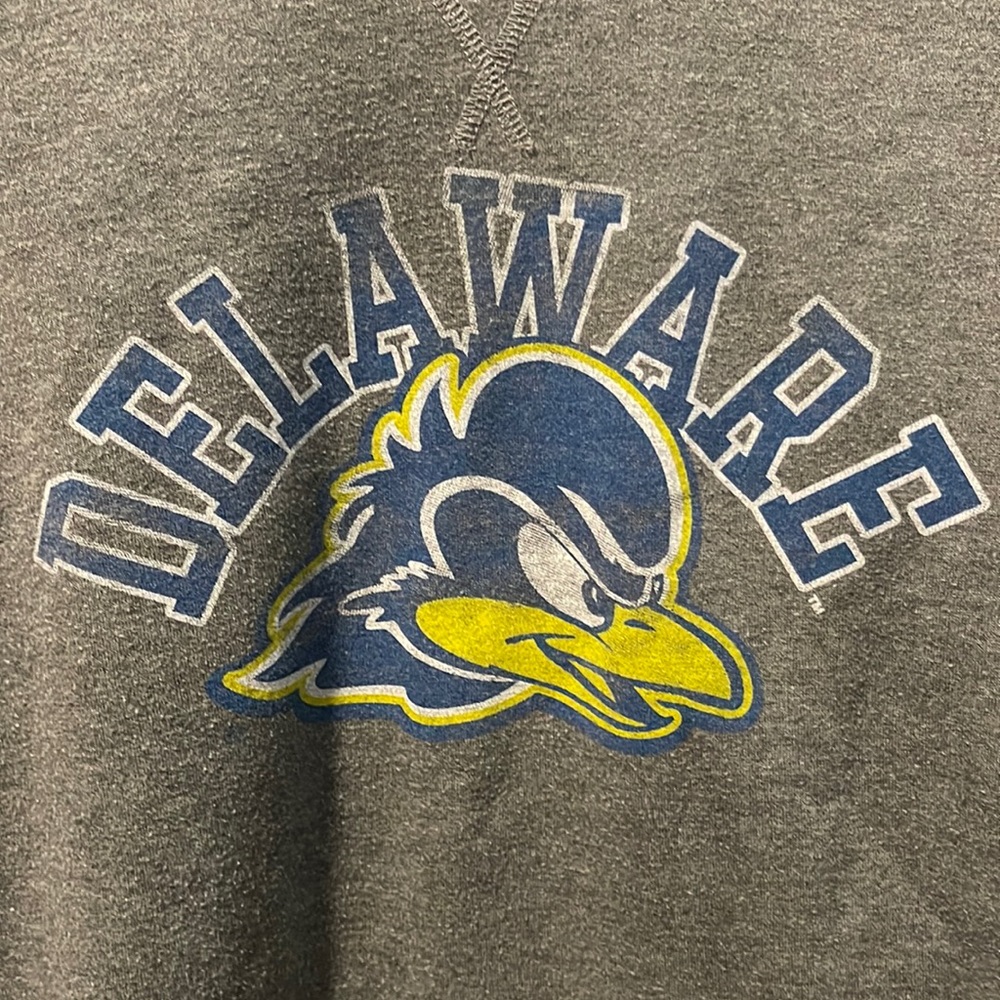 Delaware Blue Hen sweatshirt